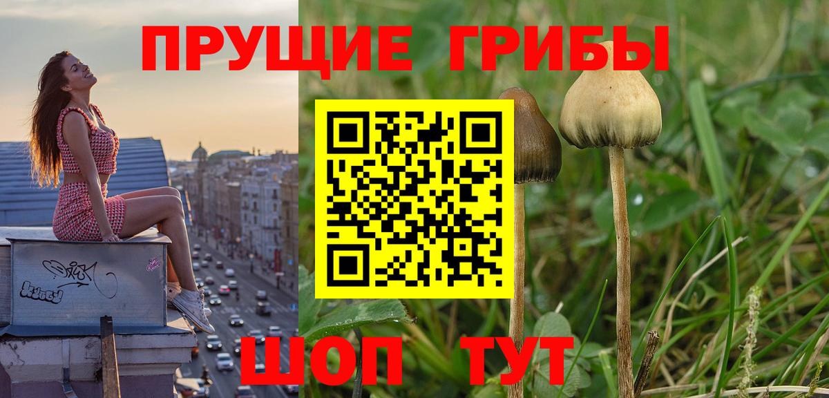 Топки  что такое   Вход с VPN  Псилоцибиновые грибы прущие грибы 